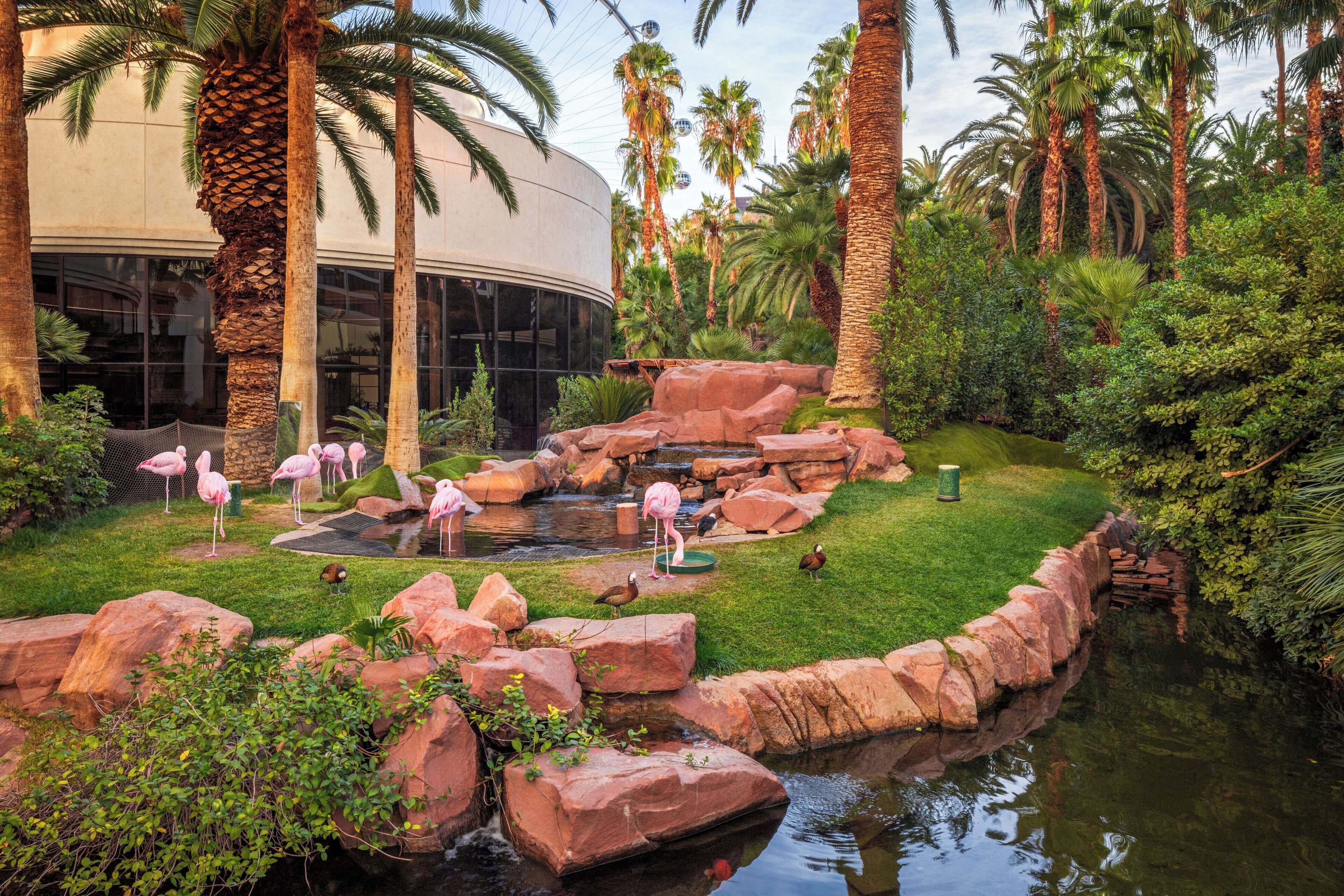 Flamingo Las Vegas Hotel & Casino photo 6